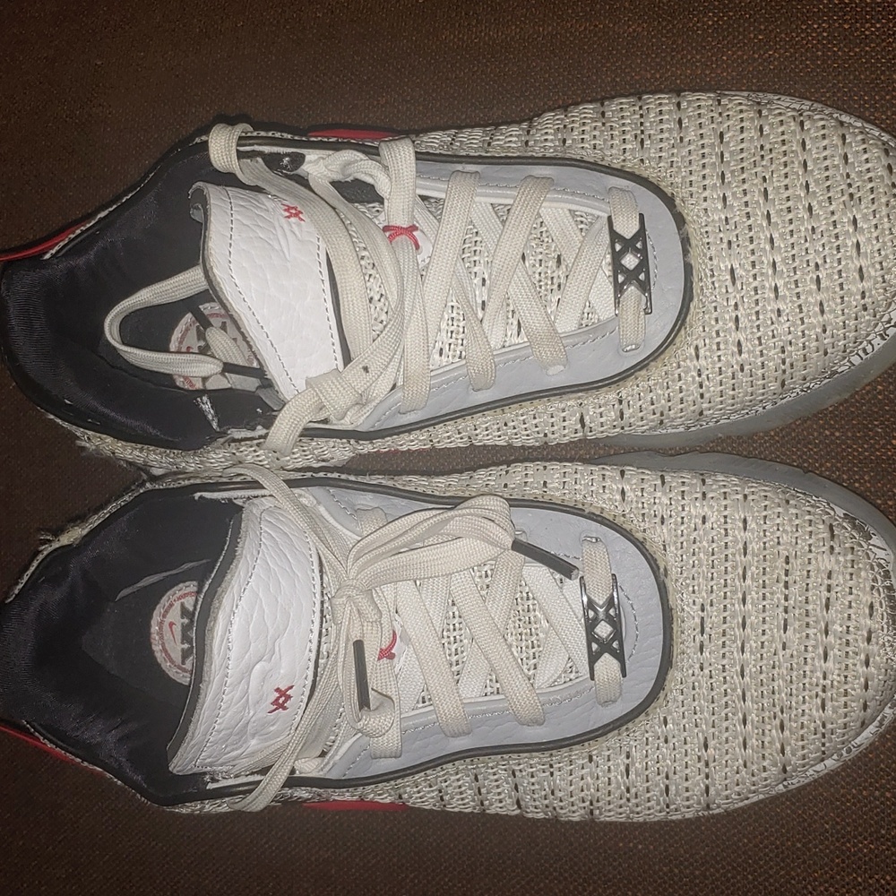 Nike Basketball shoes LeBron XX Size 8.5 Black/White